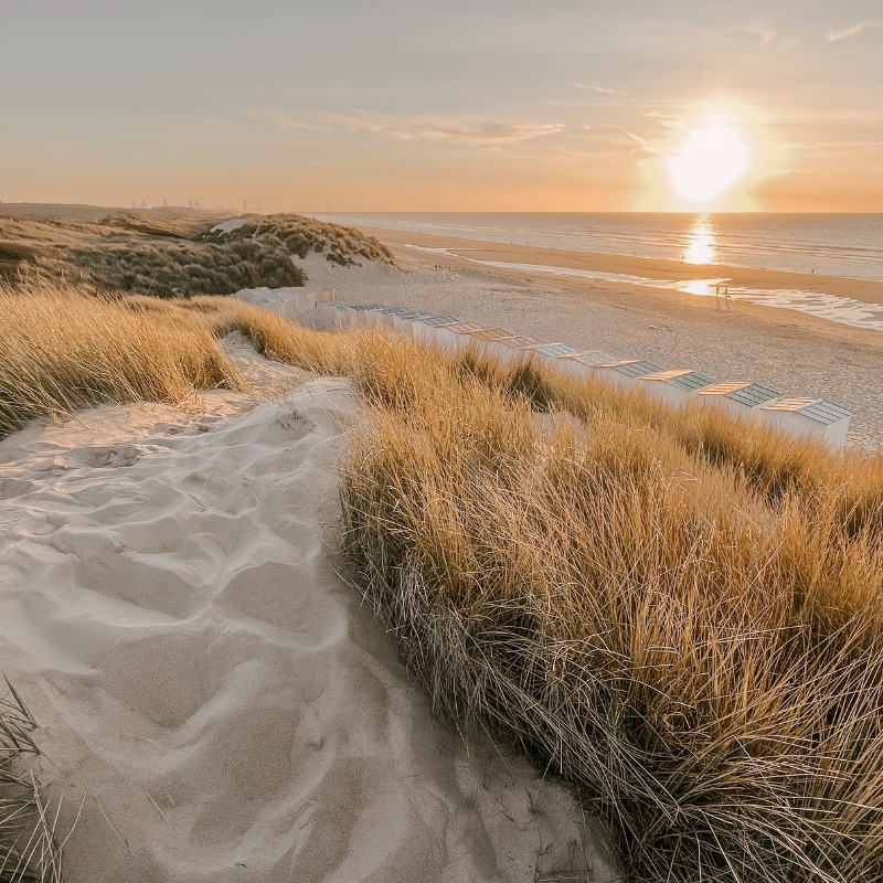 Sandy path through dunes to the beach at sunset